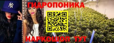 стафф Канаш