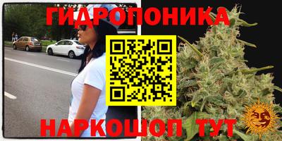 apvp Кандалакша